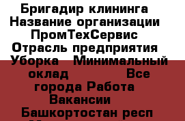 Бригадир клининга › Название организации ­ ПромТехСервис › Отрасль предприятия ­ Уборка › Минимальный оклад ­ 30 000 - Все города Работа » Вакансии   . Башкортостан респ.,Мечетлинский р-н